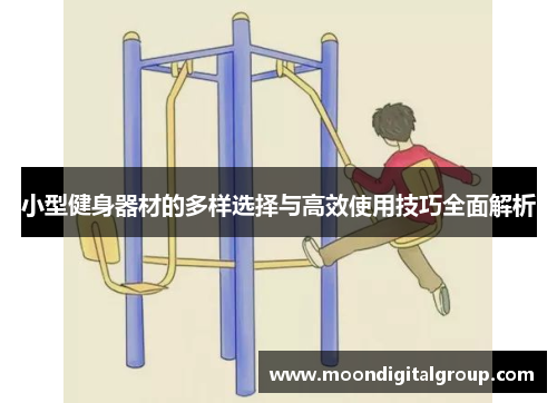 小型健身器材的多样选择与高效使用技巧全面解析