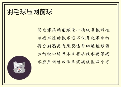 羽毛球压网前球